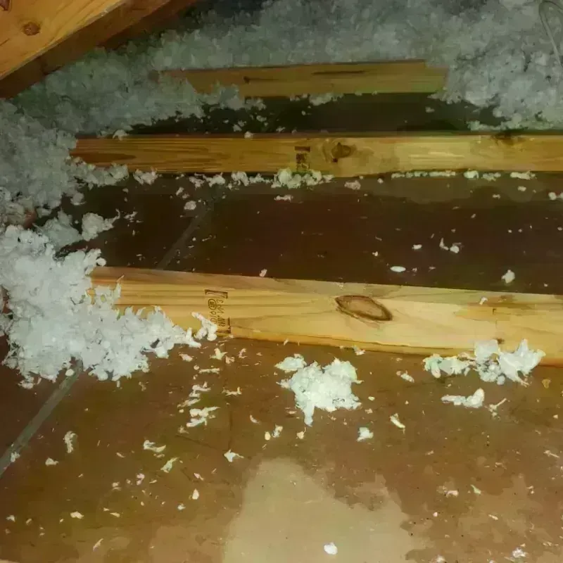 Attic Water Damage in Lake City, GA