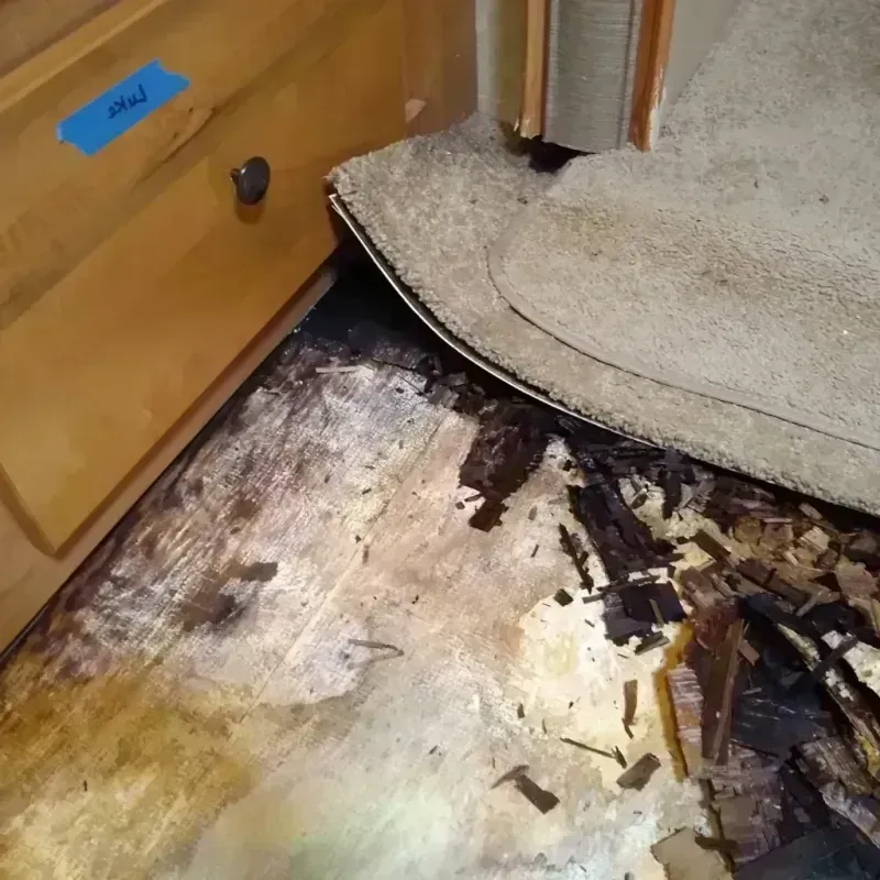 Wood Floor Water Damage in Lake City, GA